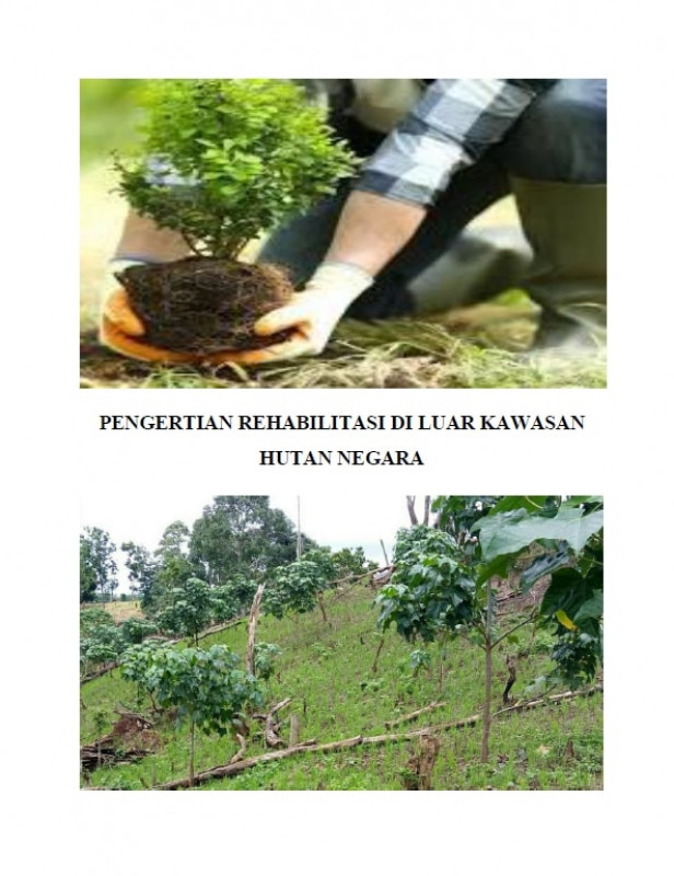 PENGERTIAN REHABILITASI DI LUAR KAWASAN HUTAN NEGARA