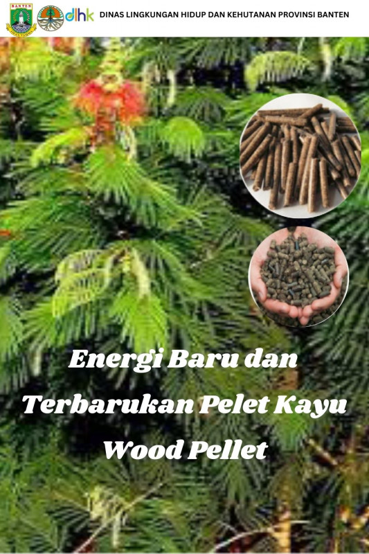 Energi Baru dan Terbarukan Pelet Kayu  Wood Pellet