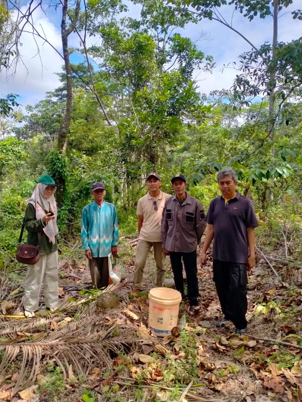 UPTD SPTH Awasi Pengunduhan Benih Balsa di Desa Katumbiri, Kecamatan Cigeulis, Kabupaten Pandeglang.