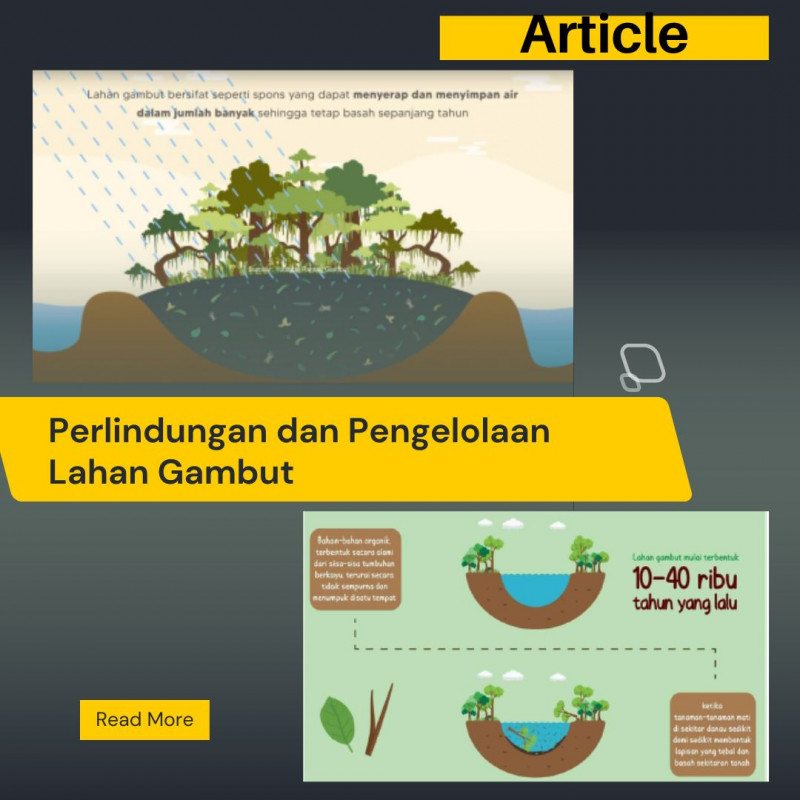 Perlindungan dan Pengelolaan Lahan Gambut