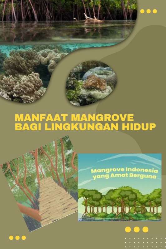 Manfaat Mangrove Bagi Lingkungan Hidup