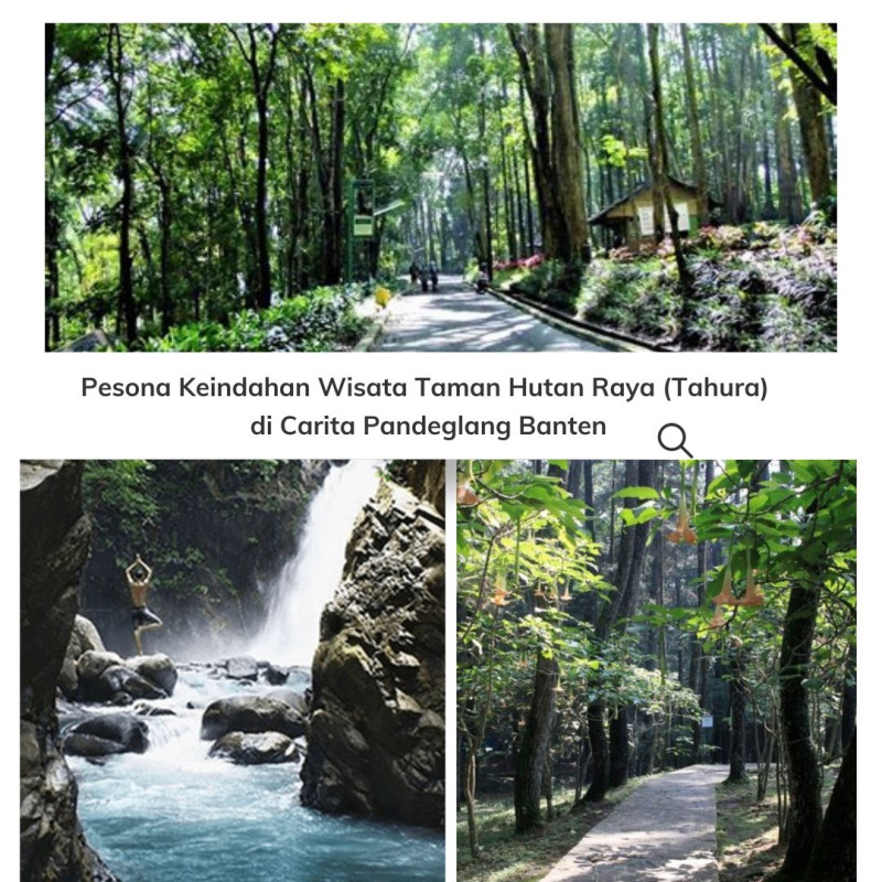 Pesona Keindahan Wisata Taman Hutan Raya (Tahura)  di Carita Pandeglang Banten