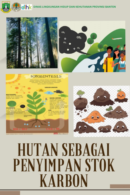 Hutan Sebagai Penyimpan Stok Karbon