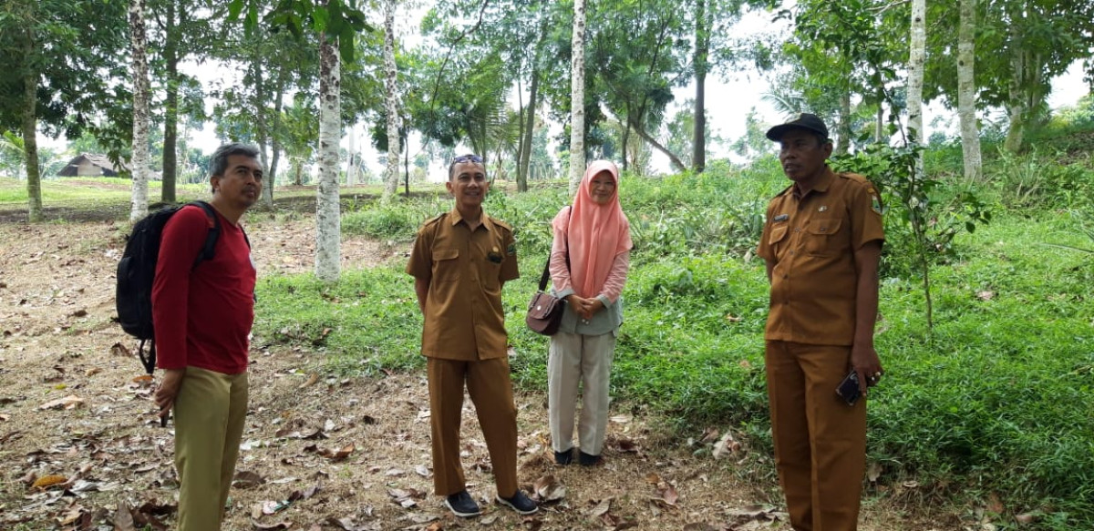 Plt. Seksi Sertifikasi beserta Tim Sertifikator UPTD SPTH, melakukan koordinasi sertifikasi Sumber Benih Tanaman Hutan, pada calon kebun sumber benih tanaman hutan Lame atau Pulai (Alstonia Scolaris) di wisata alam Ranggawulung Desa Curugbitung Kecamatan 