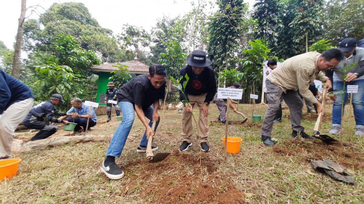 Acara Penanaman 500 Bibit Pohon Dalam Program Penyelaman Hutan Karbon Di Kawasan Cagar Alam Rawa Danao