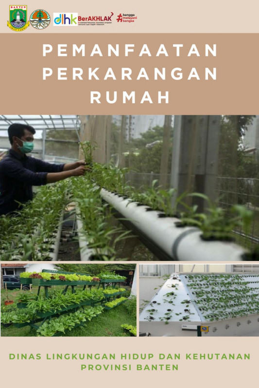 Pemanfaatan Perkarangan Rumah