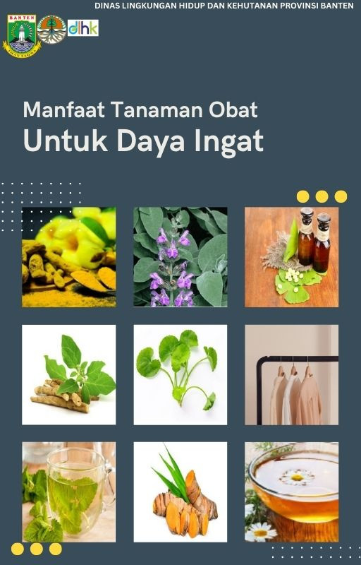 Manfaat Tanaman Herbal Bagi Kesehatan dan Ampuh Bikin Daya Ingat Tajam dan Otak Cerdas