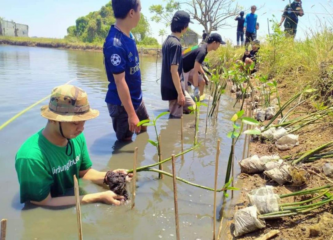 Penanaman mangrove di Tangerang