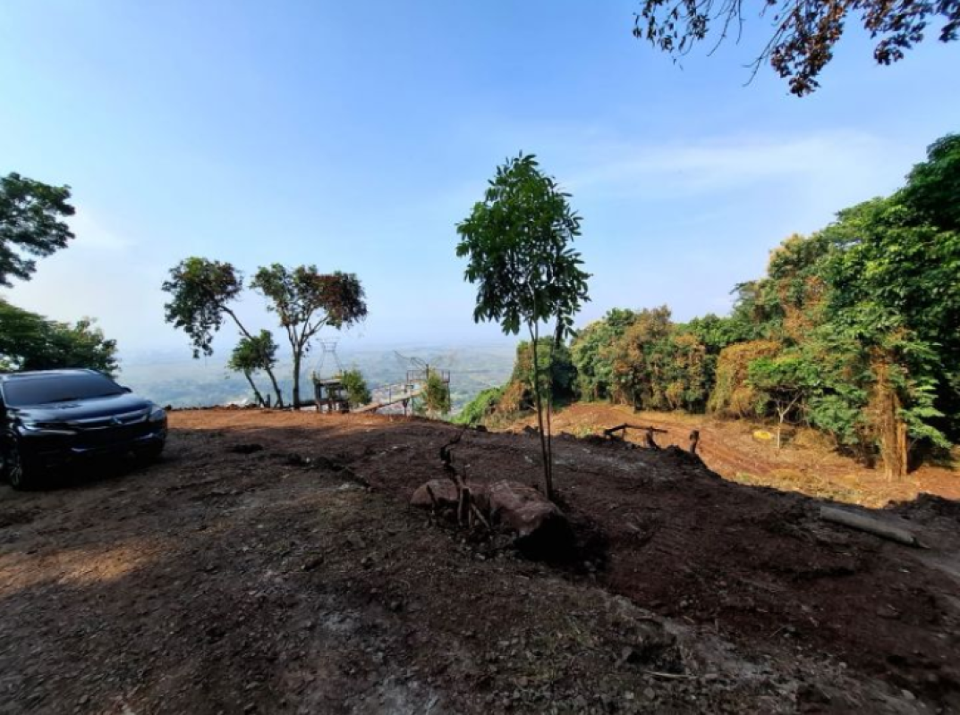 DLHK Pemprov Banten Hentikan Penebangan Pohon Gunung Pinang
