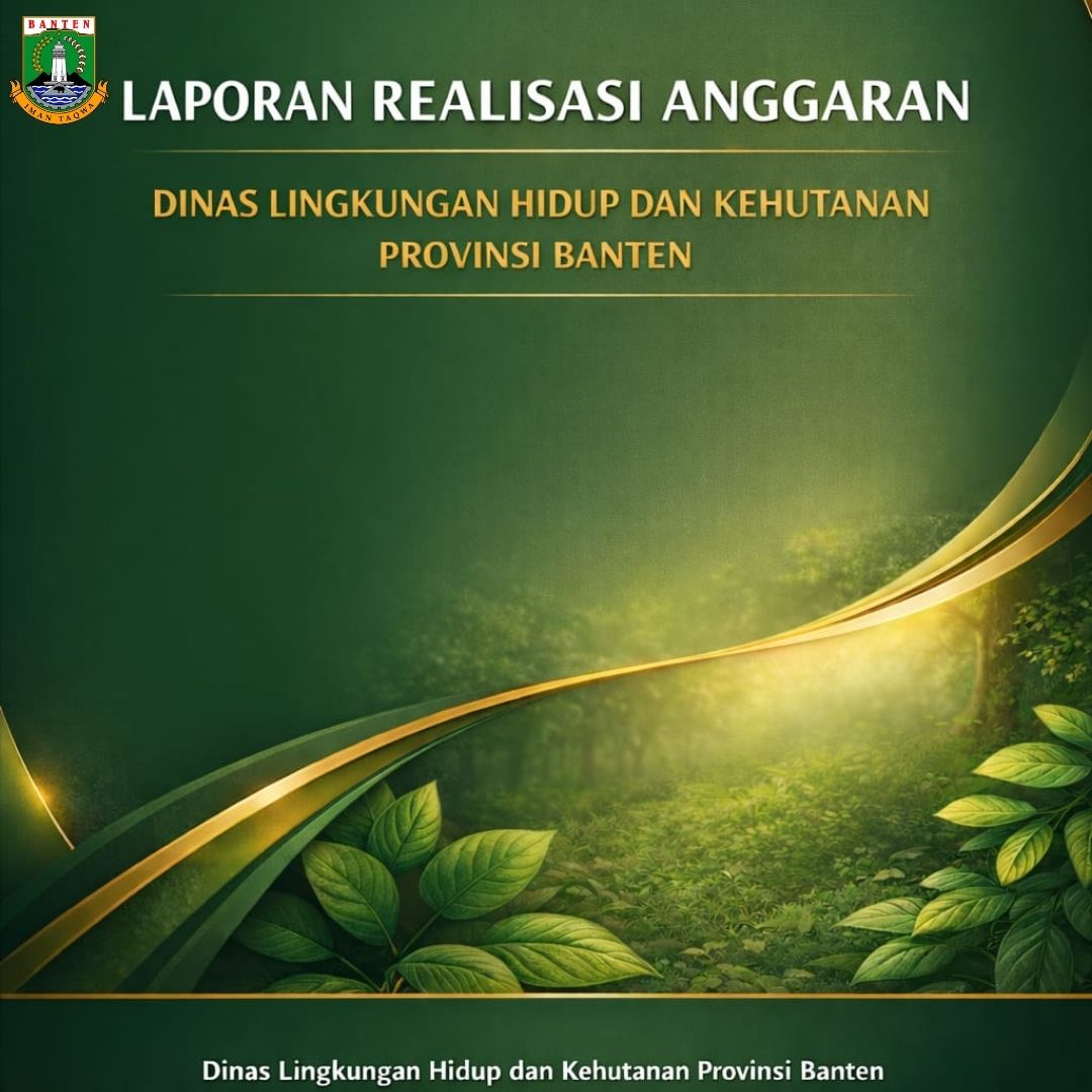 LAPORAN REALISASI ANGGARAN  2025
