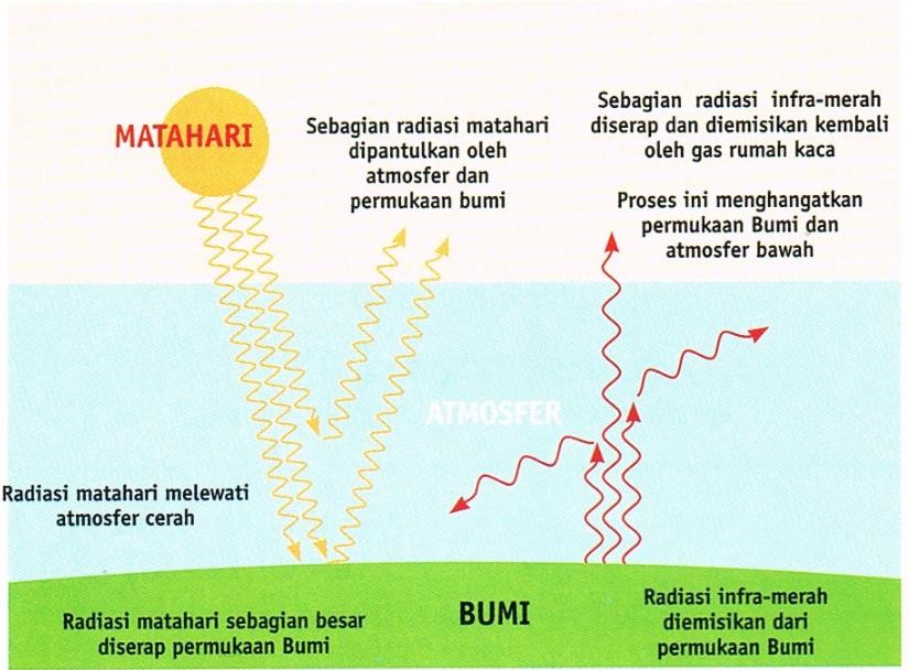 MENGENAL MITIGASI GAS RUMAH KACA (GRK) SEKTOR KEHUTANAN