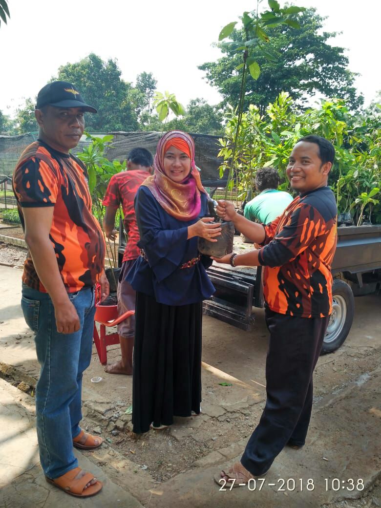 Pemuda Pancasila Gerem Menerima Bantuan Bibit Pohon dari DLHK Banten Untuk Penghijauan