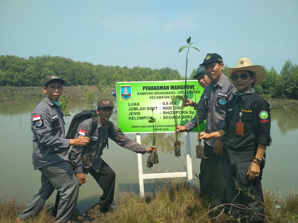 Gerakan Tanam Mangrove Bersama PKSM Serang di Kec Tirtayasa