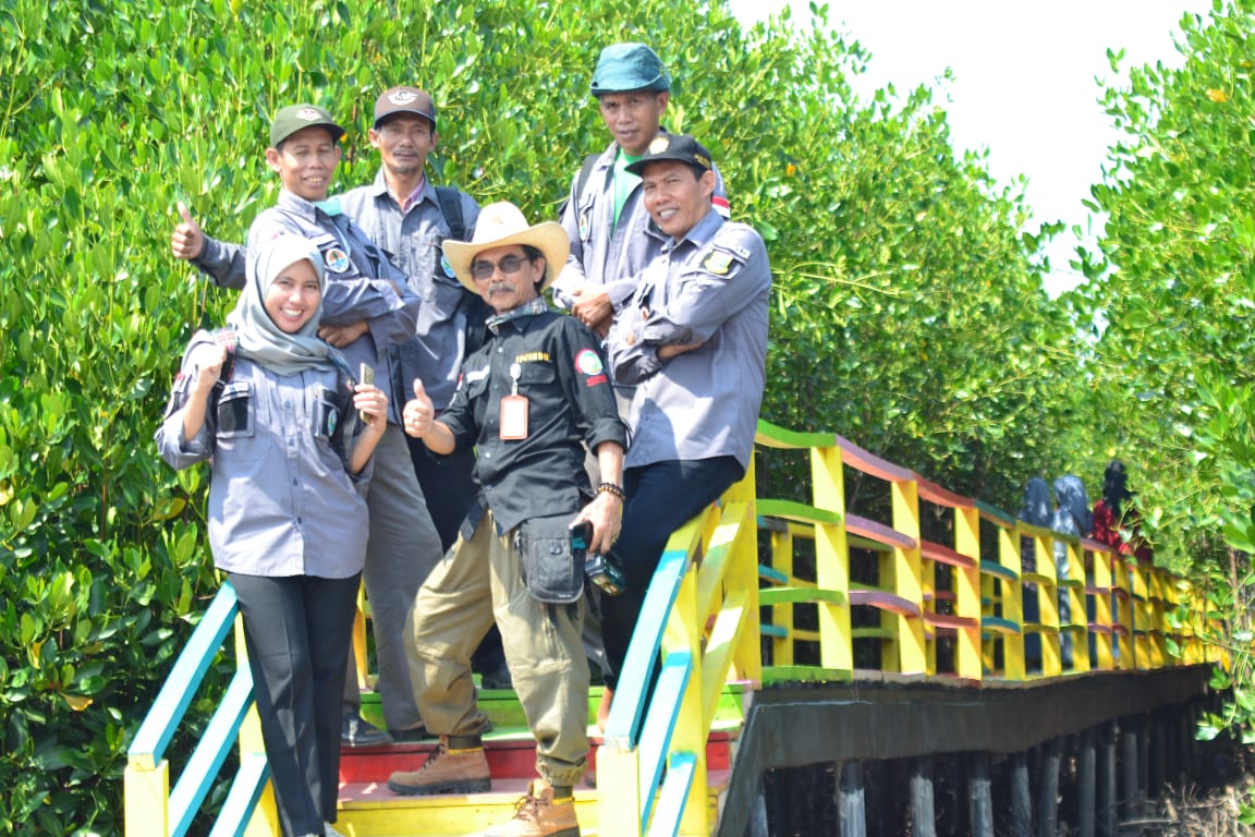 "WISATA MANGROVE "Kampung Brangbang Desa Lontar Kecamatan Tirtayasa Kabupaten Serang Banten