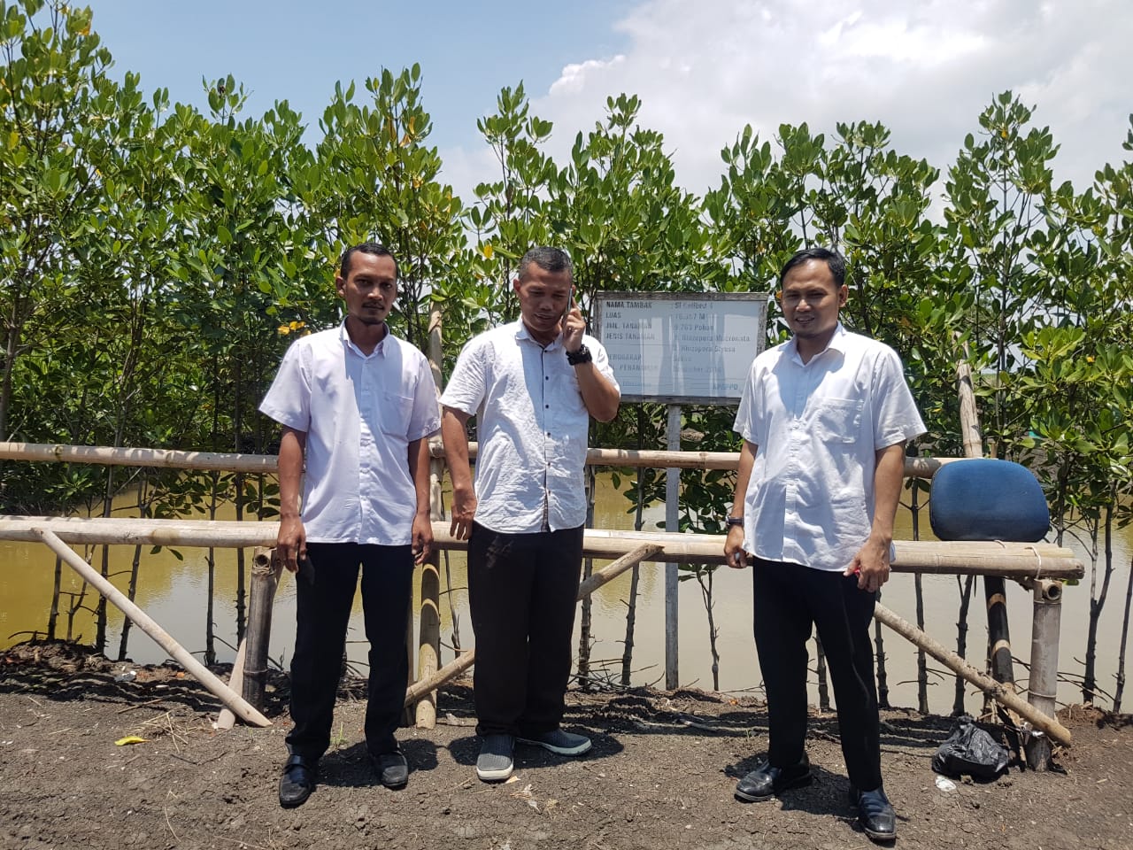 Kegiatan KBD Mangrove Kelurahan Sawah Luhur