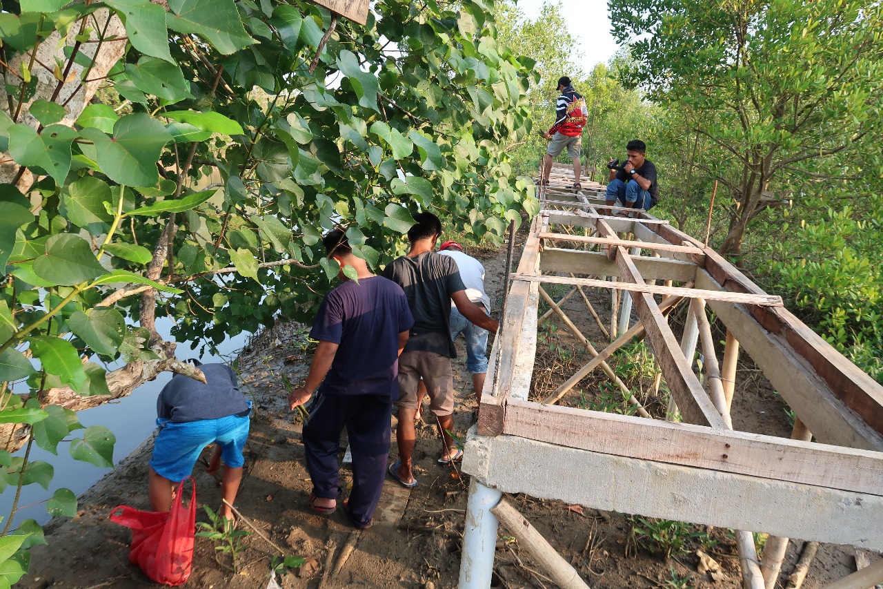 Lokasi Wisata Mangrove Di Wilayah KP. Patikang Desa Citeureup Kec Panimbang Kab Pandeglang