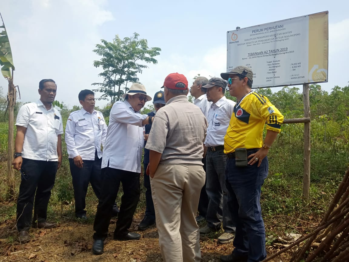 Survei Lokasi Untuk Lahan Cabe dan Jengkol