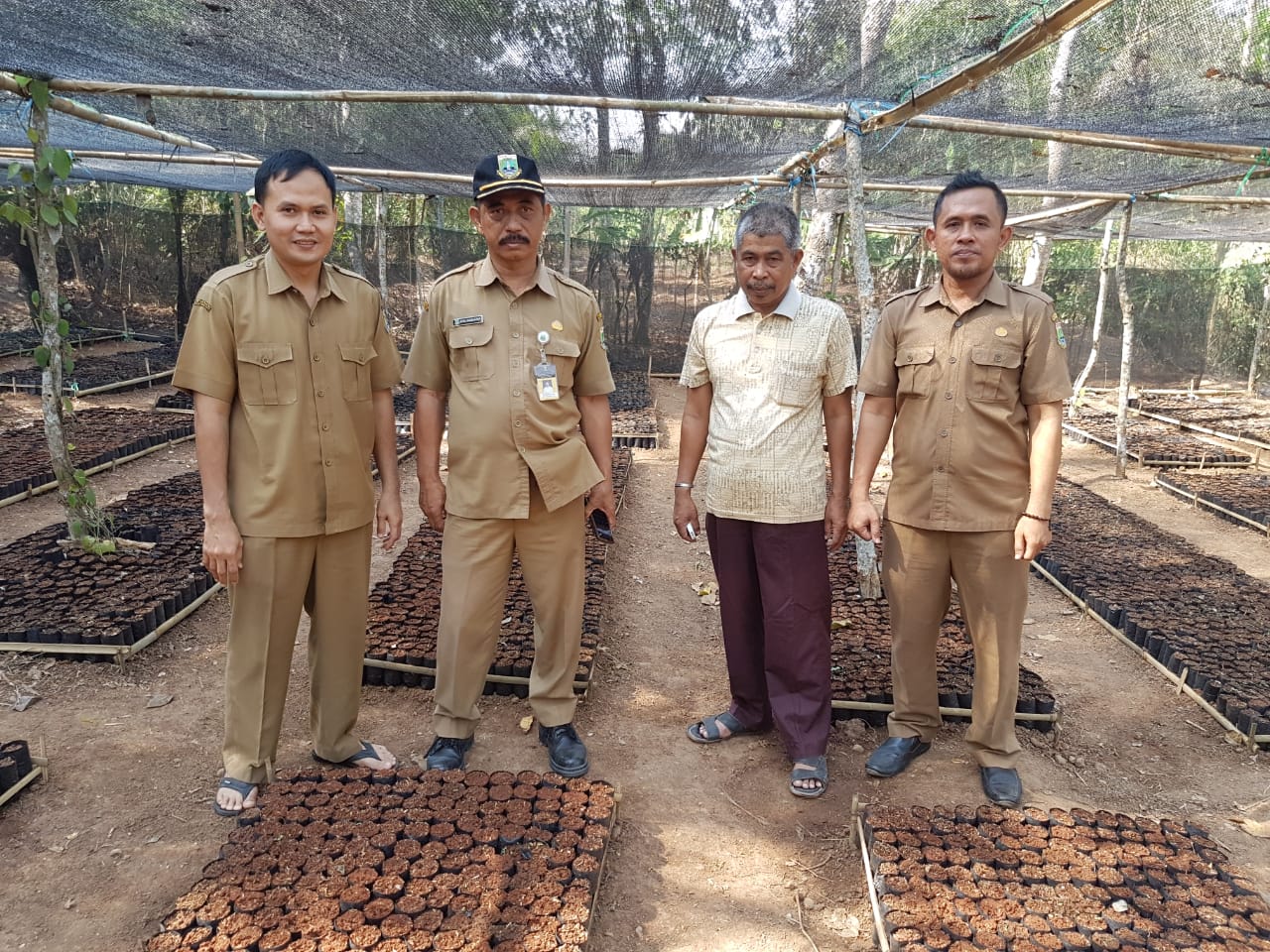 KBD KTH Salinggara Jaya Kp Salinggara Kel Sayar Kec Taktakan