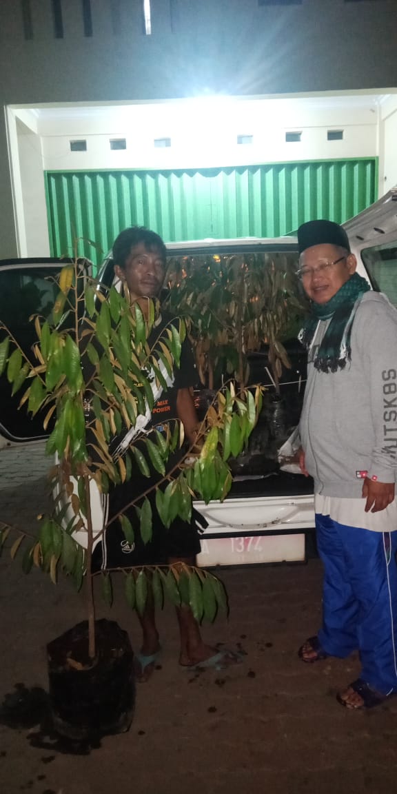 Bibit Duren dan Mahoni Siap Meluncur ke Gunung Luhur Citorek