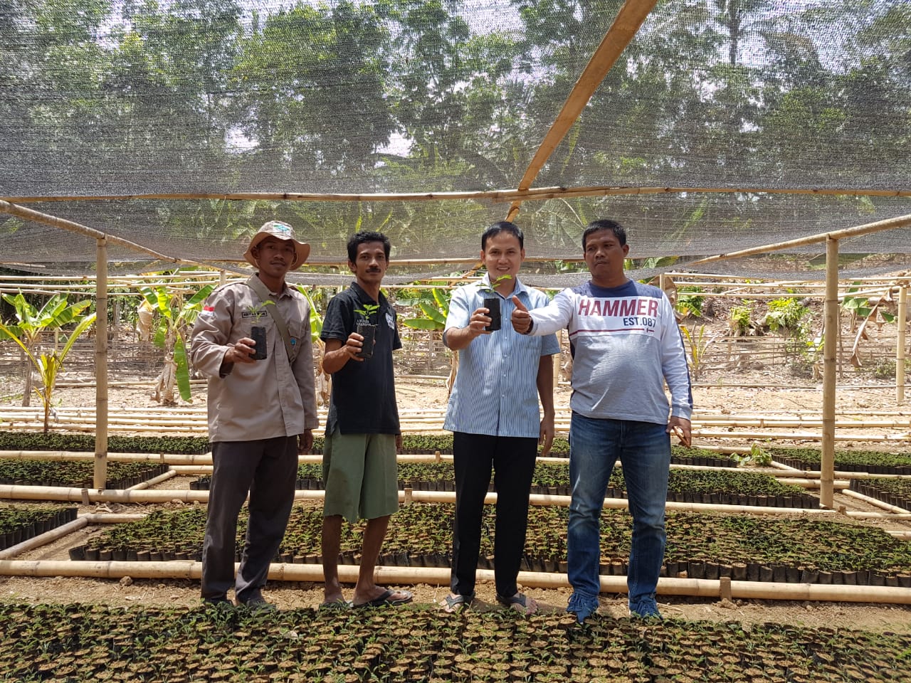 Kegiatan KBR Kelompok Tani Pancar Kidul Desa Sindang Resmi Kec SindangResmi Kab Pandeglang