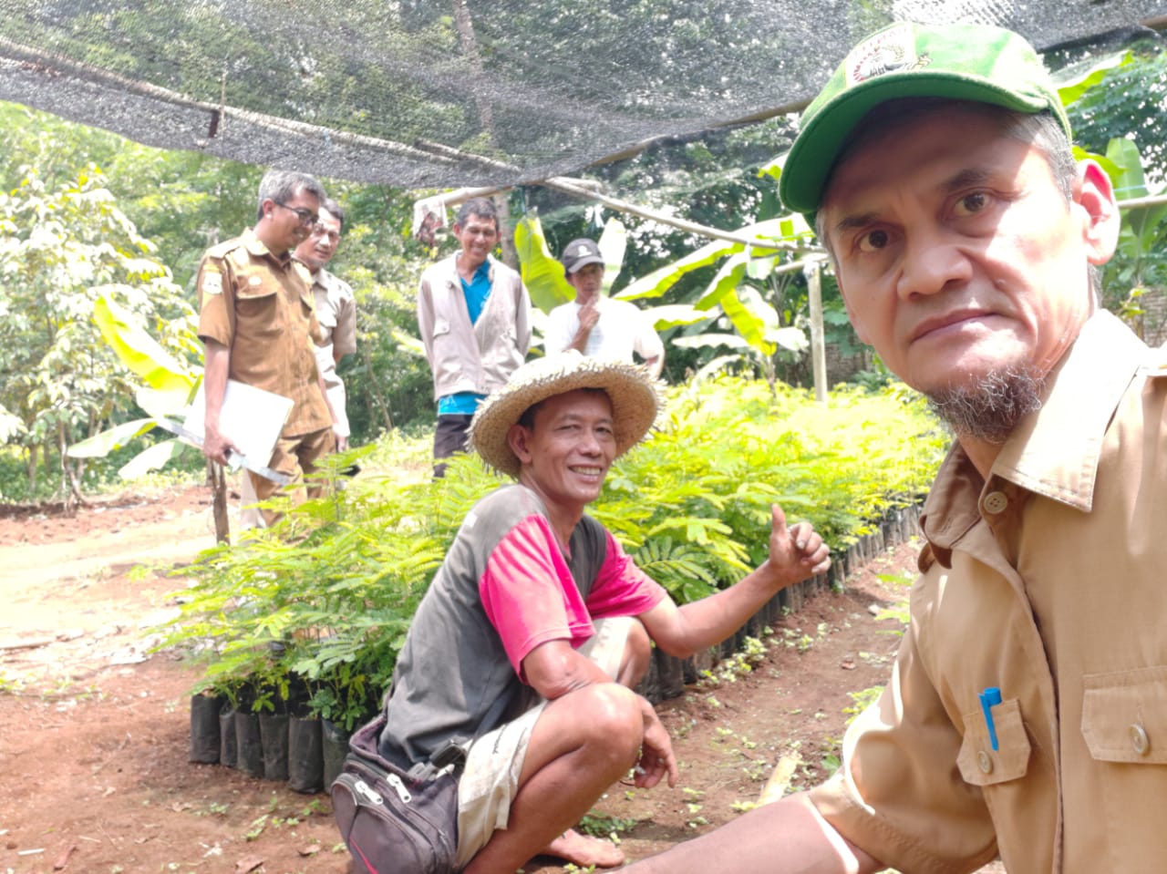 Kegiatan Sertifikasi Bibit Tanaman Sengon, Kelompok Tani Hutan SUKATANI KP. Cipacung I Kelurahan Saruni 