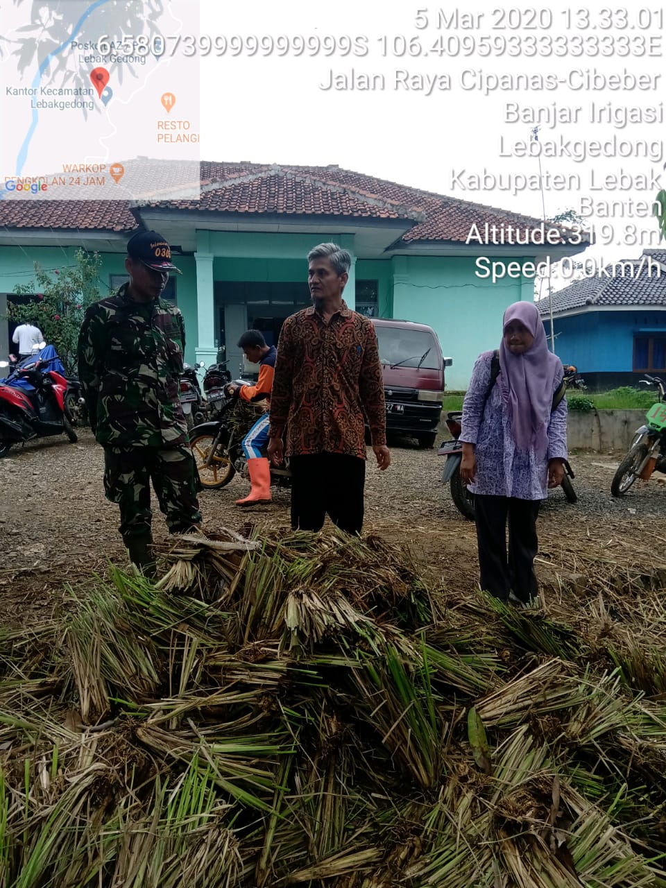 Monitoring Penyiapan Bibit Tanaman Vetivera (akar wangi) untuk Lokasi Penanaman di kec Lebak Gedong