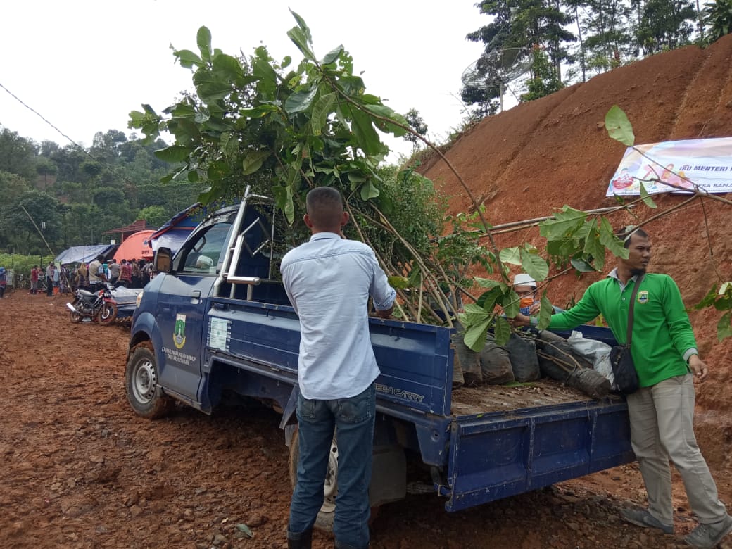 Dukungan Fasilitasi Bantuan Bibit tanaman Hutan dan MPTS dari UPTD SPTH Untuk mMasyarakat Lebak Gedong Kabupaten Lebak