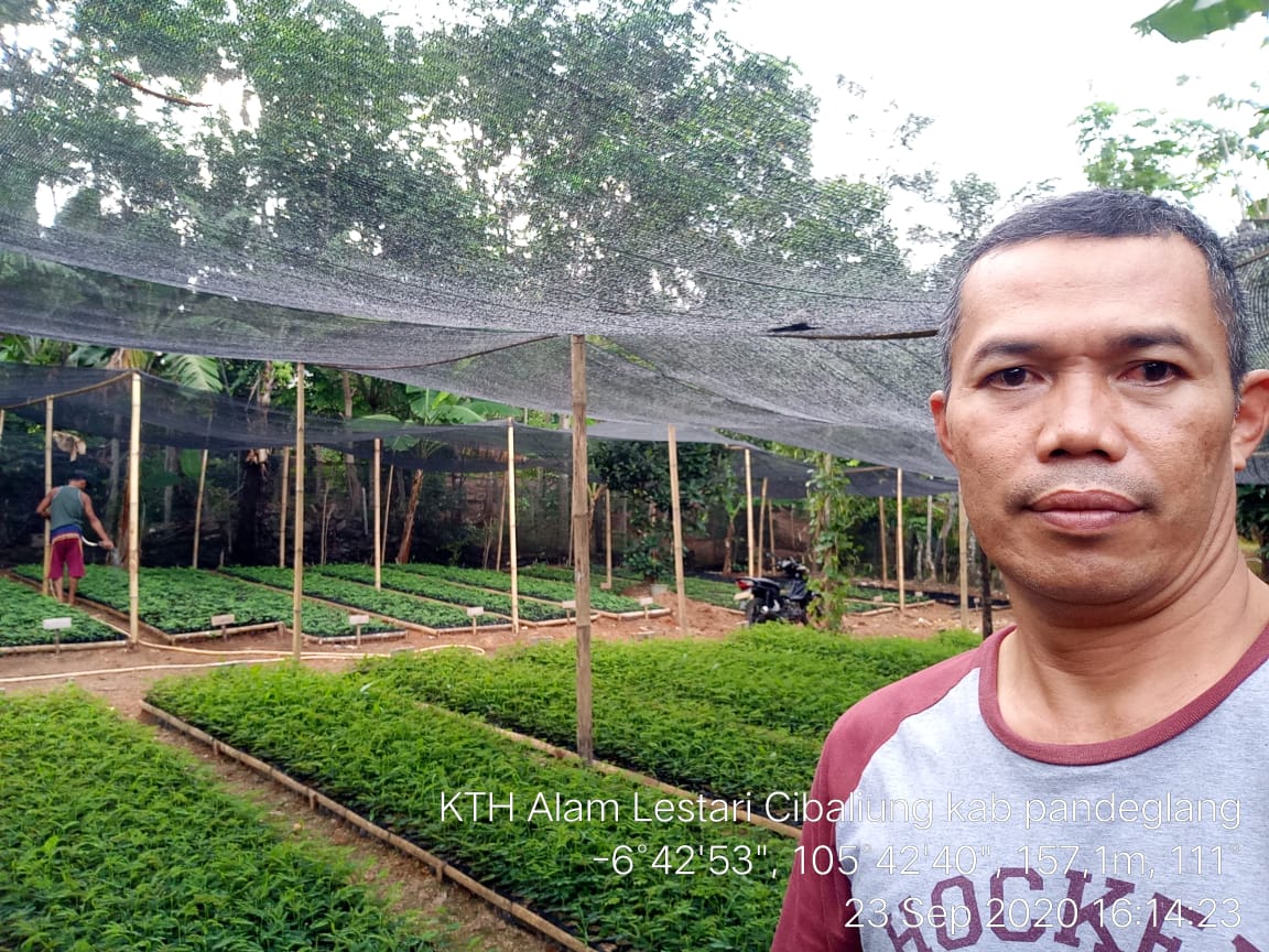 KTH Alam Lestari Cibaliung Kab Pandeglang, keg KEBUN BIBIT DESA Tahun 2020