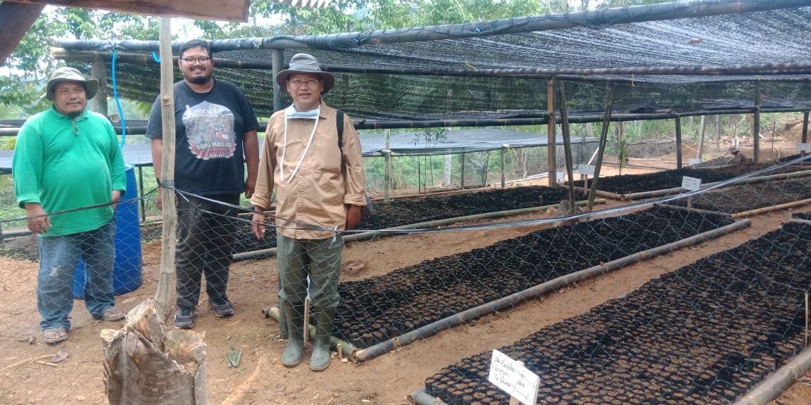 Monitoring KBR di Desa Cibarengkok Kecamatan Panggarangan Lebak Banten Jumlah Bibit 37.000 Batang