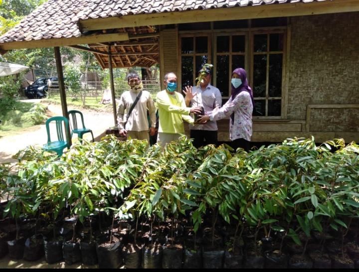 Penyerahan Bantuan Bibit Durian ke Desa Cipendeuy kec.Malingping Kab. Lebak