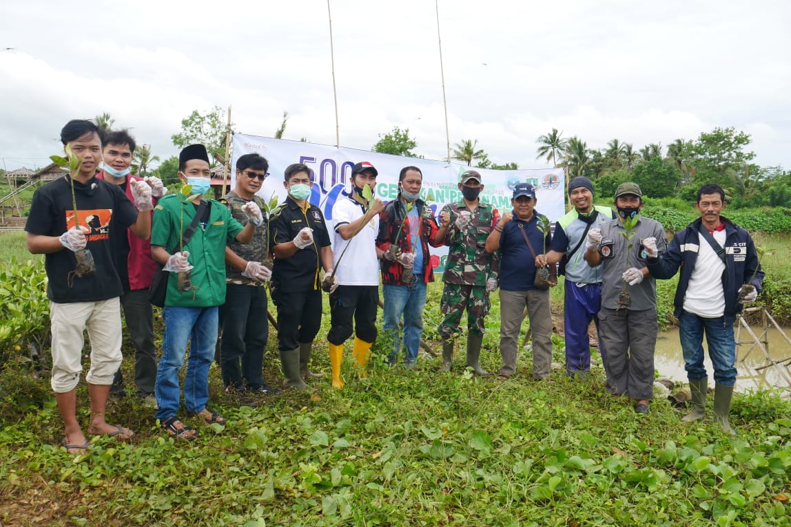 Forum Lintas Organisasi se Panimbang Tanam Ribuan Mangrove