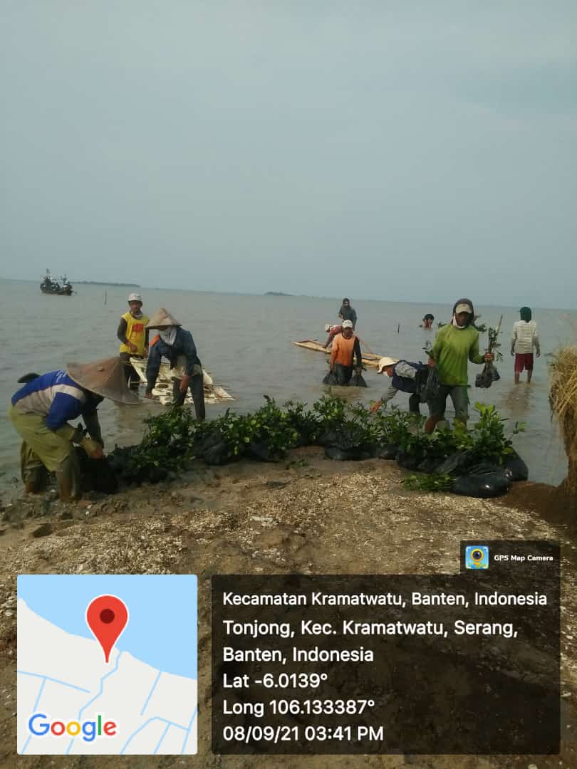 Kegiatan DAK TA.2021 Penanaman Mangrove Desa Tonjong Kec Kramat Watu Kab Serang