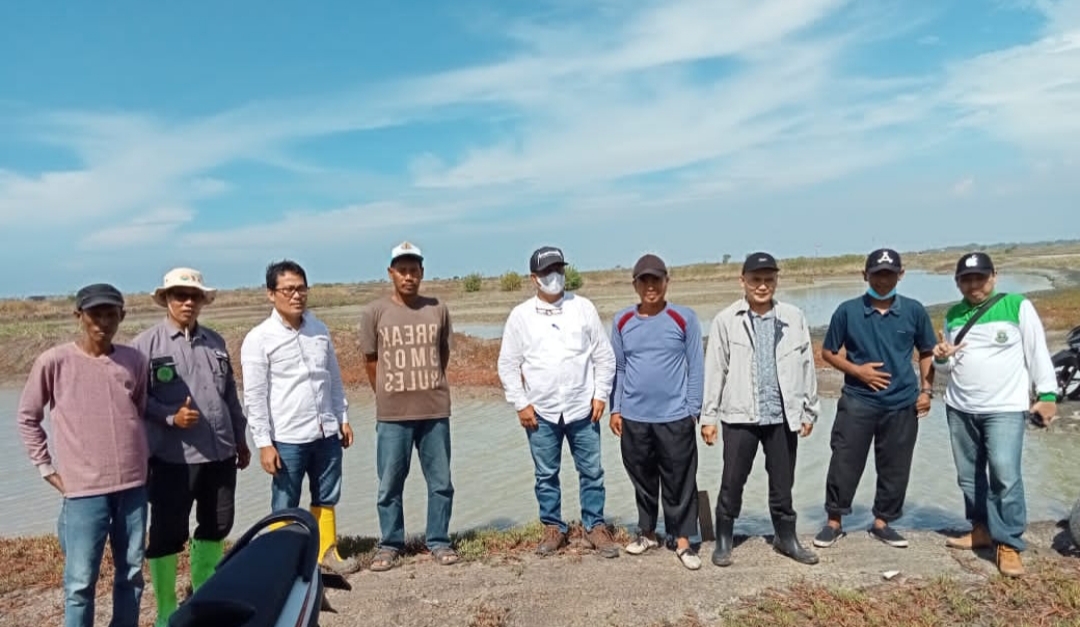 Monitoring DAK TA.2021 Kegiatan Penanaman Mangrove Desa Tonjong Kec Kramat Watu Kab Serang