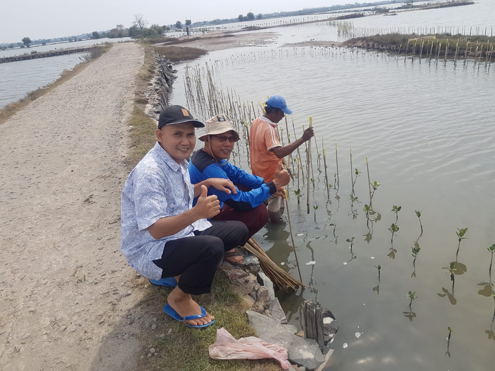 Kegiatan Badan Restorasi Gambut dan Mangrove