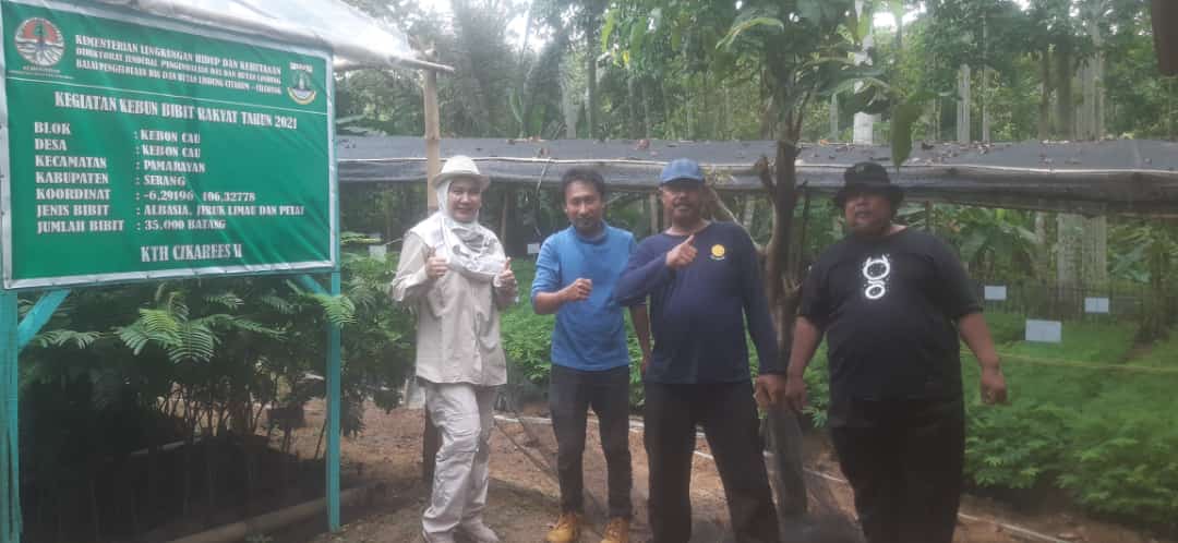 Sertifikasi Mutu Bibit Sengon KBR Desa Kebun Cau Kecamatan Pamarayan Kabupaten Serang