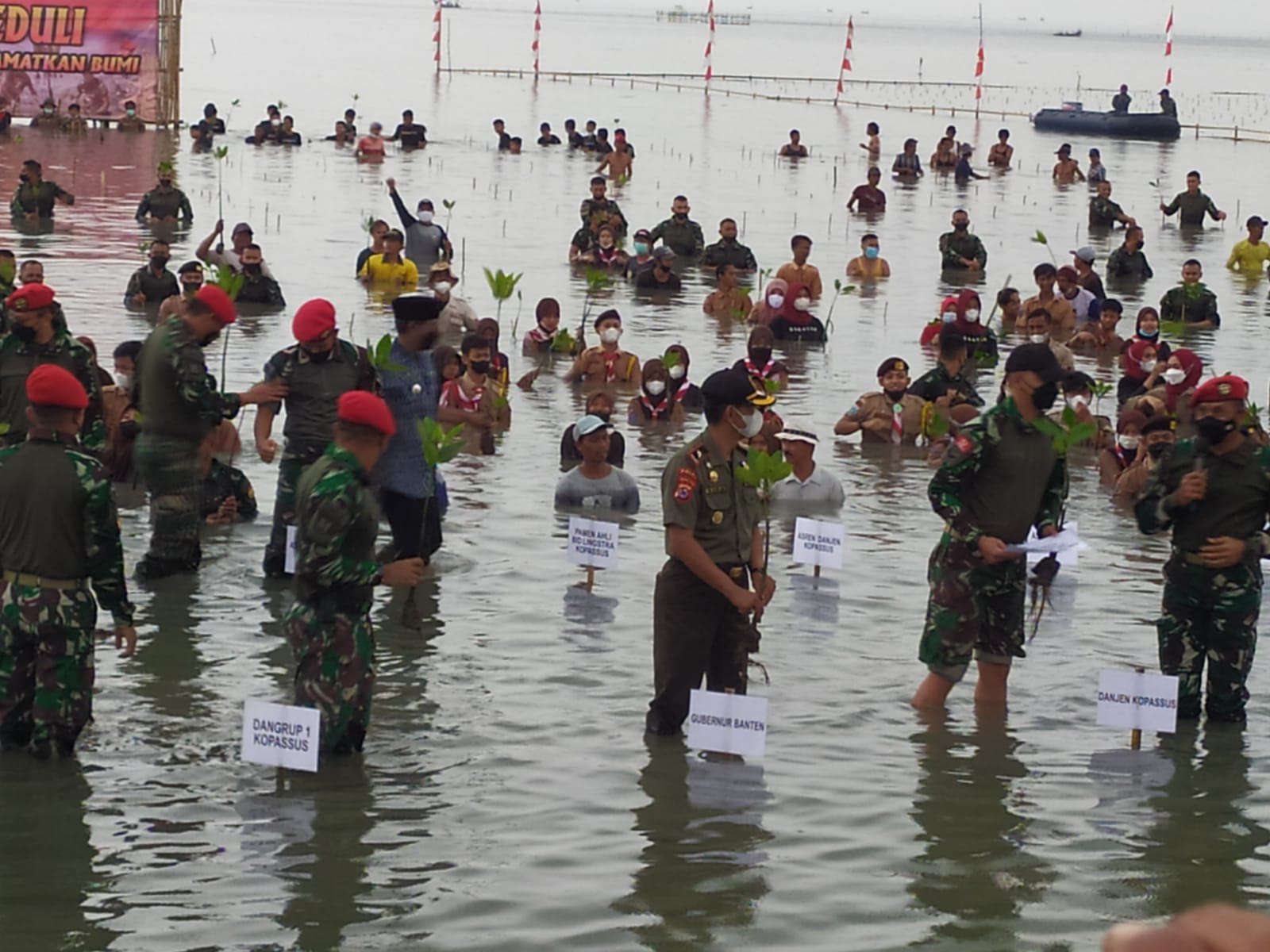 Kopasus Peduli Lestarikan Mangrove Selamatkan Bumi 