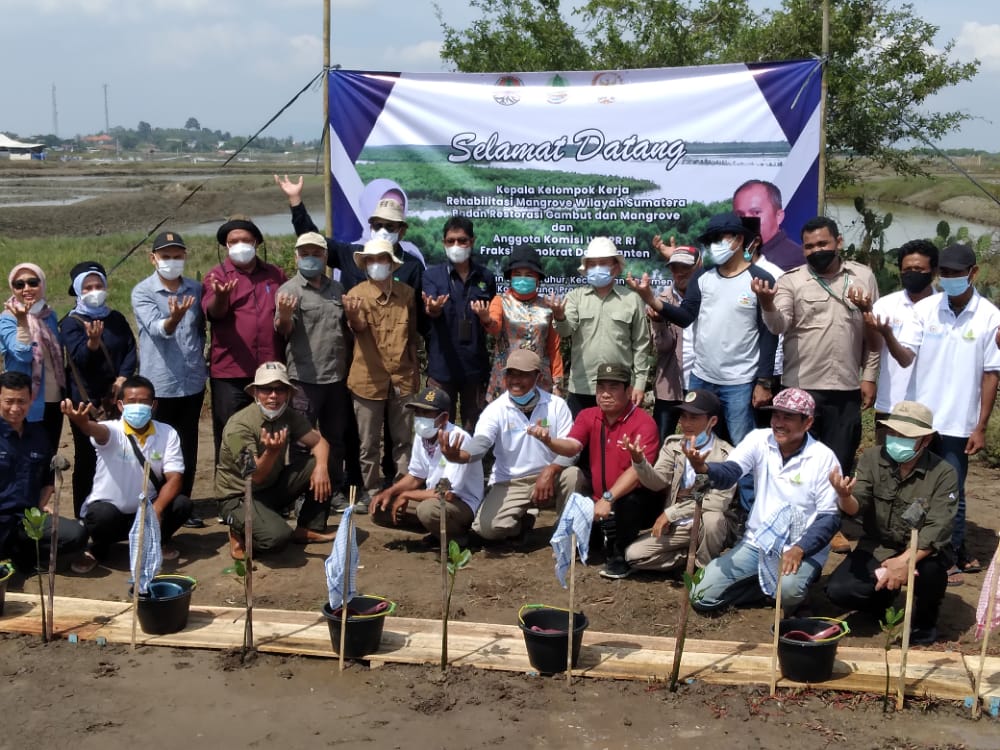 Acara Penanaman Mangrove di Kelurahan Sawah Luhur Kecamatan Kasemen Kota Serang