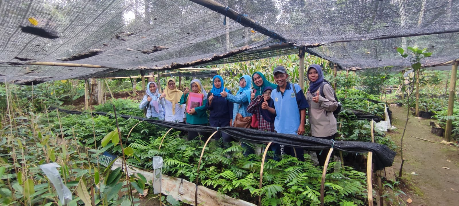 Pengada Pengedar Benih Bibit Tanaman Hutan di Pandeglang