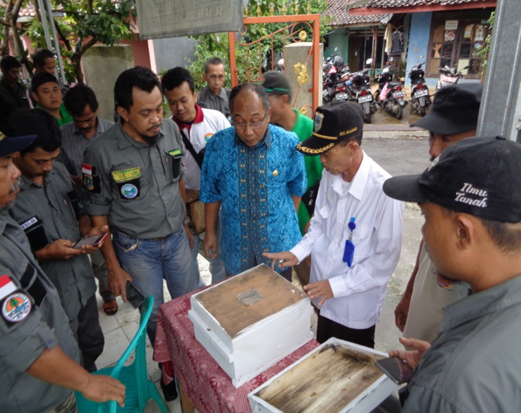 Pengelolaan Usaha Lebah Madu