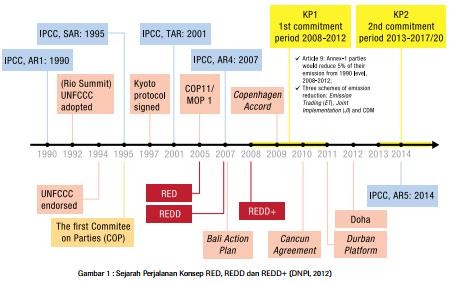 Sekilas Mengenal REDD