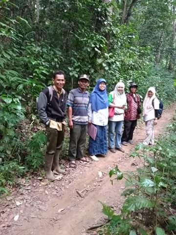 Kegiatan Monev Sumber Benih Tbt Mahoni Bersama Bpth Wil. I Palembang Dan Perum Perhutani Divre Jawa Barat Di Gunung Gedo